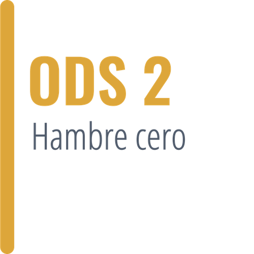 Texto ODS2 Hambre cero