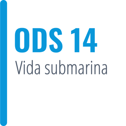 Texto ODS14 Vida submarina